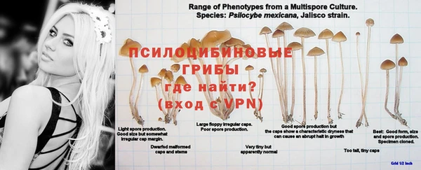 гидропоника Балахна